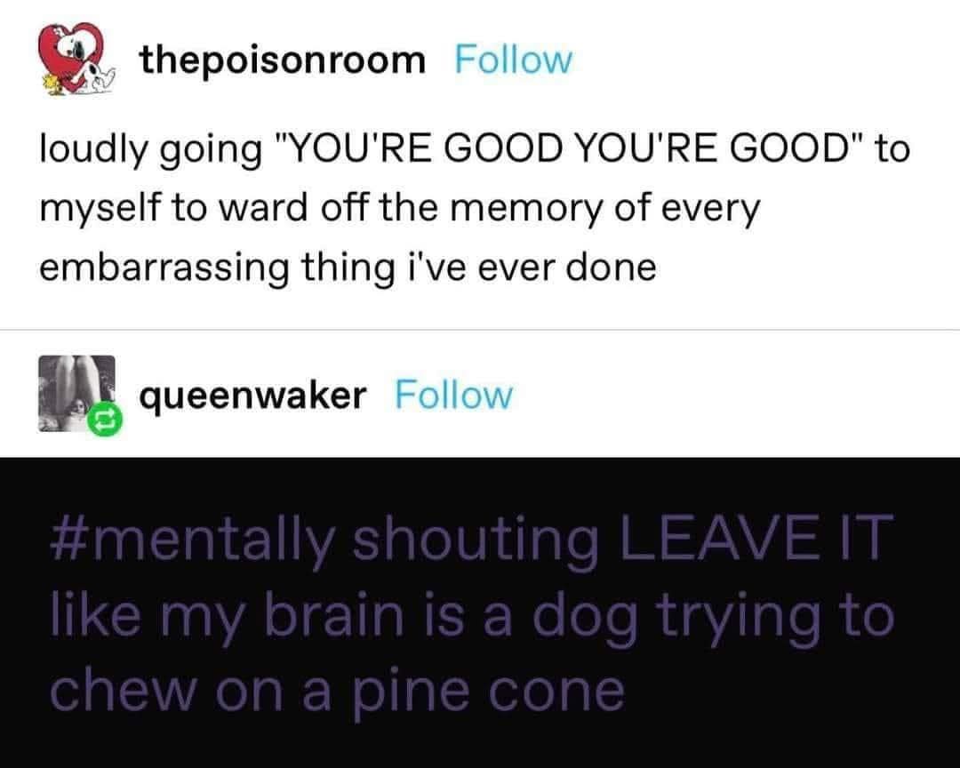 1764455183628.jpeg