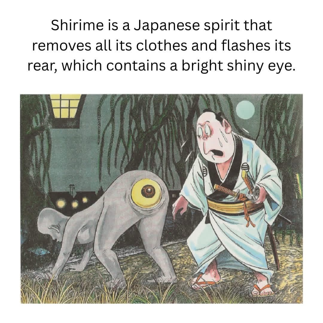 1764591790259.jpeg