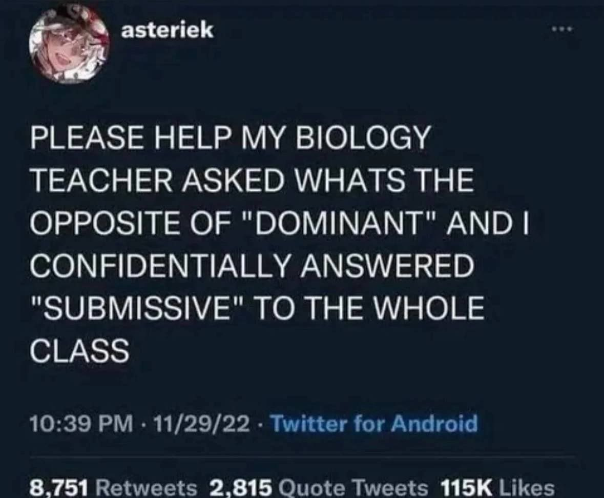 1764758535200.png