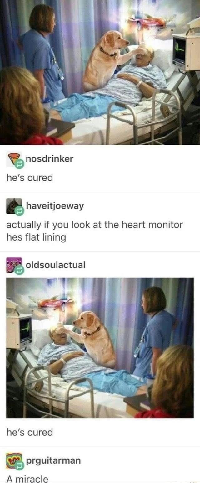 1764919212817.jpeg