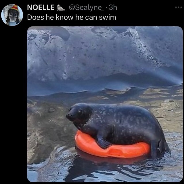 1765025552969.jpeg