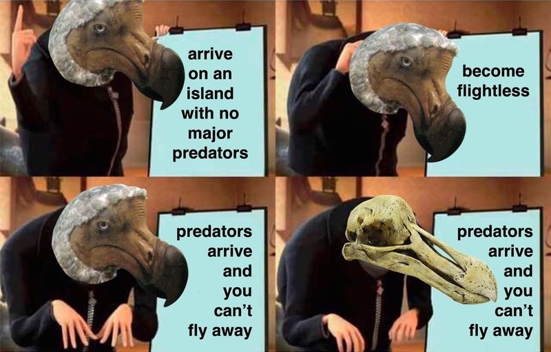 1765185769502.jpeg
