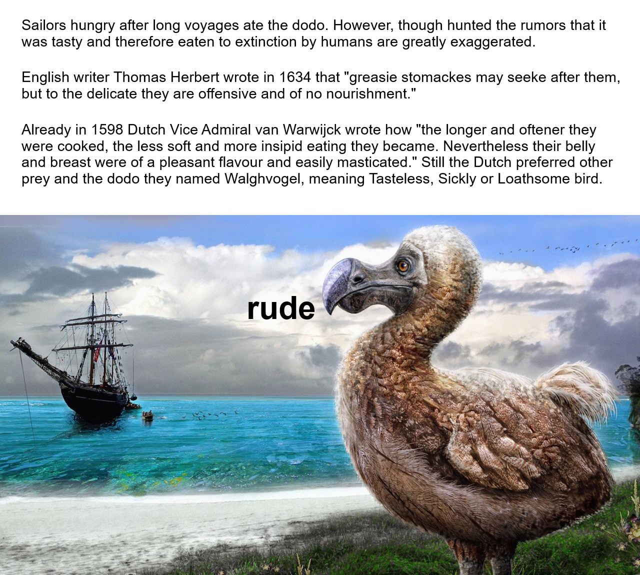 1765185787280.jpeg