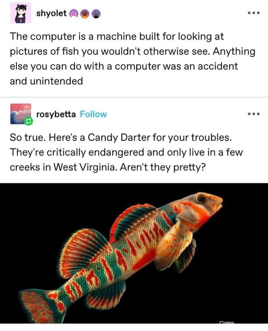 1765319649882.jpeg