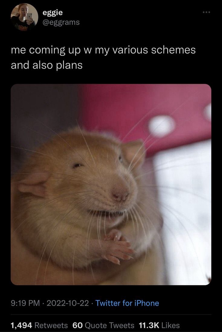 1765345491614.jpeg