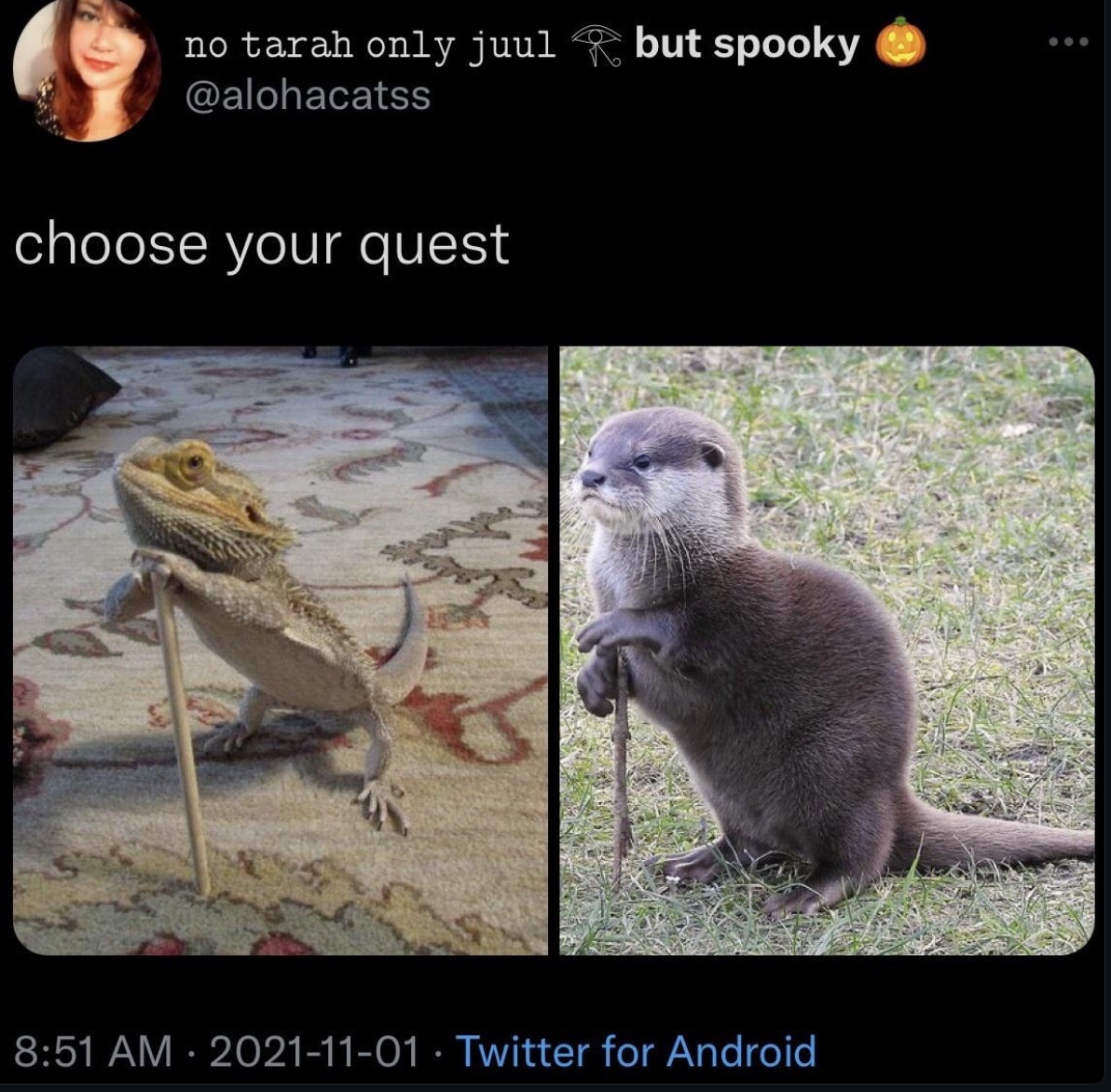 1765354626575.jpeg