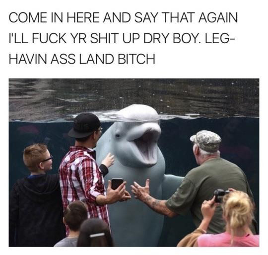 1765719451497.jpeg