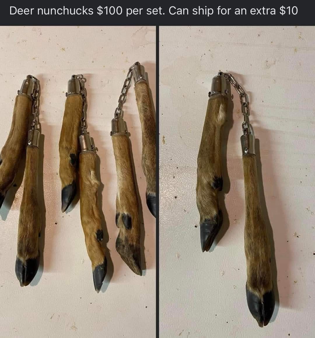 1765811180877.jpeg