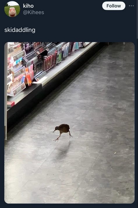 1765861702063.jpeg
