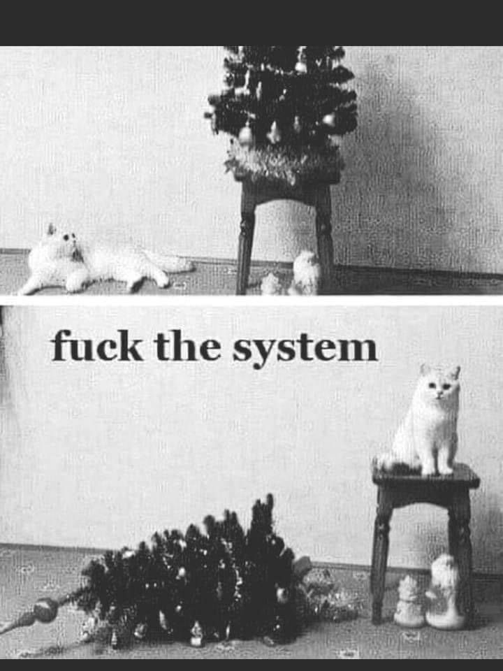1765892489911.jpeg