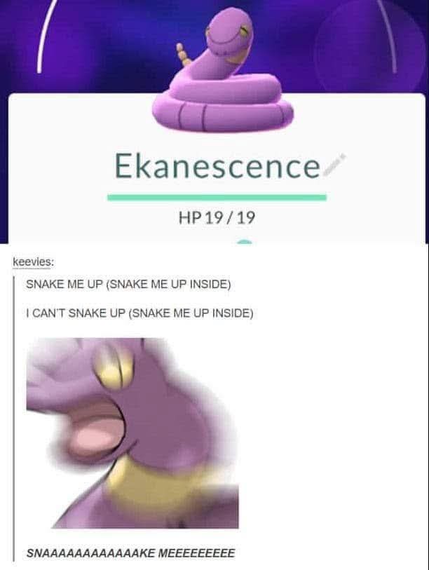 1765989480688.jpeg