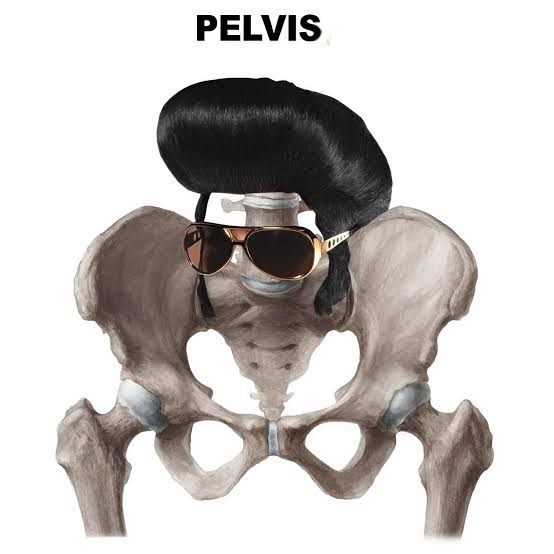 1766061295052.png