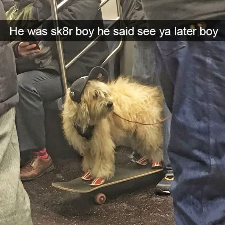 1766160606216.jpeg