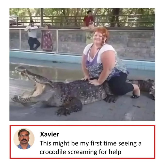1766162759645.png