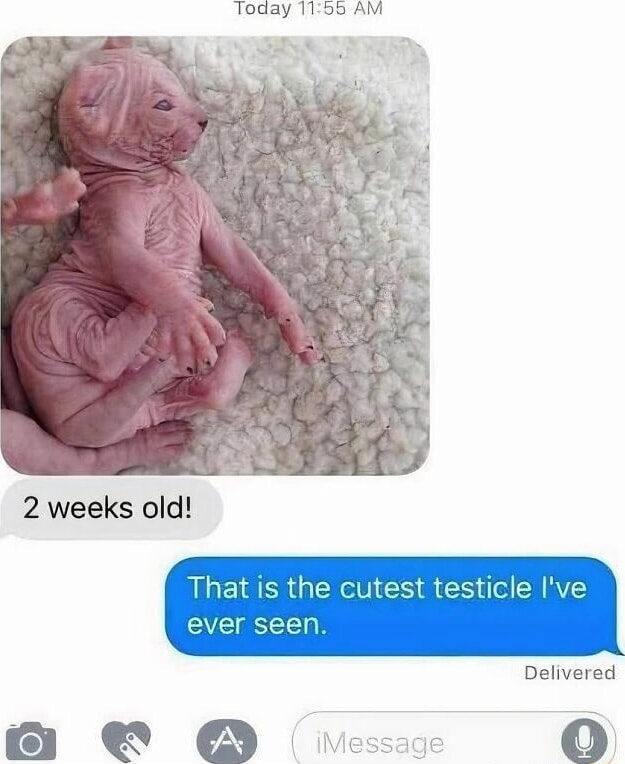 1766497128977.png