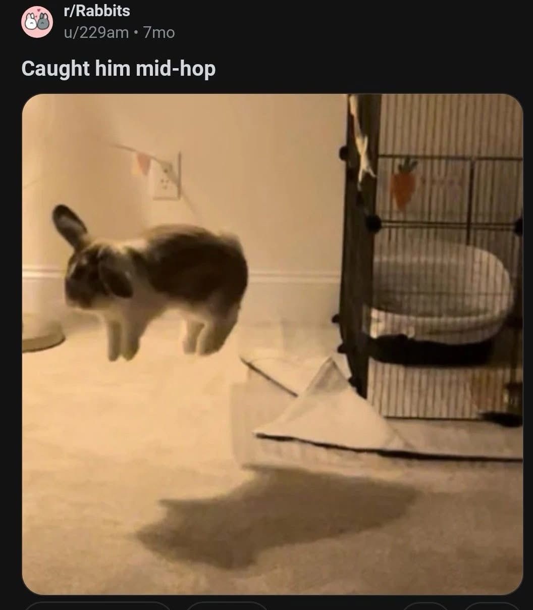 1766587603507.jpeg