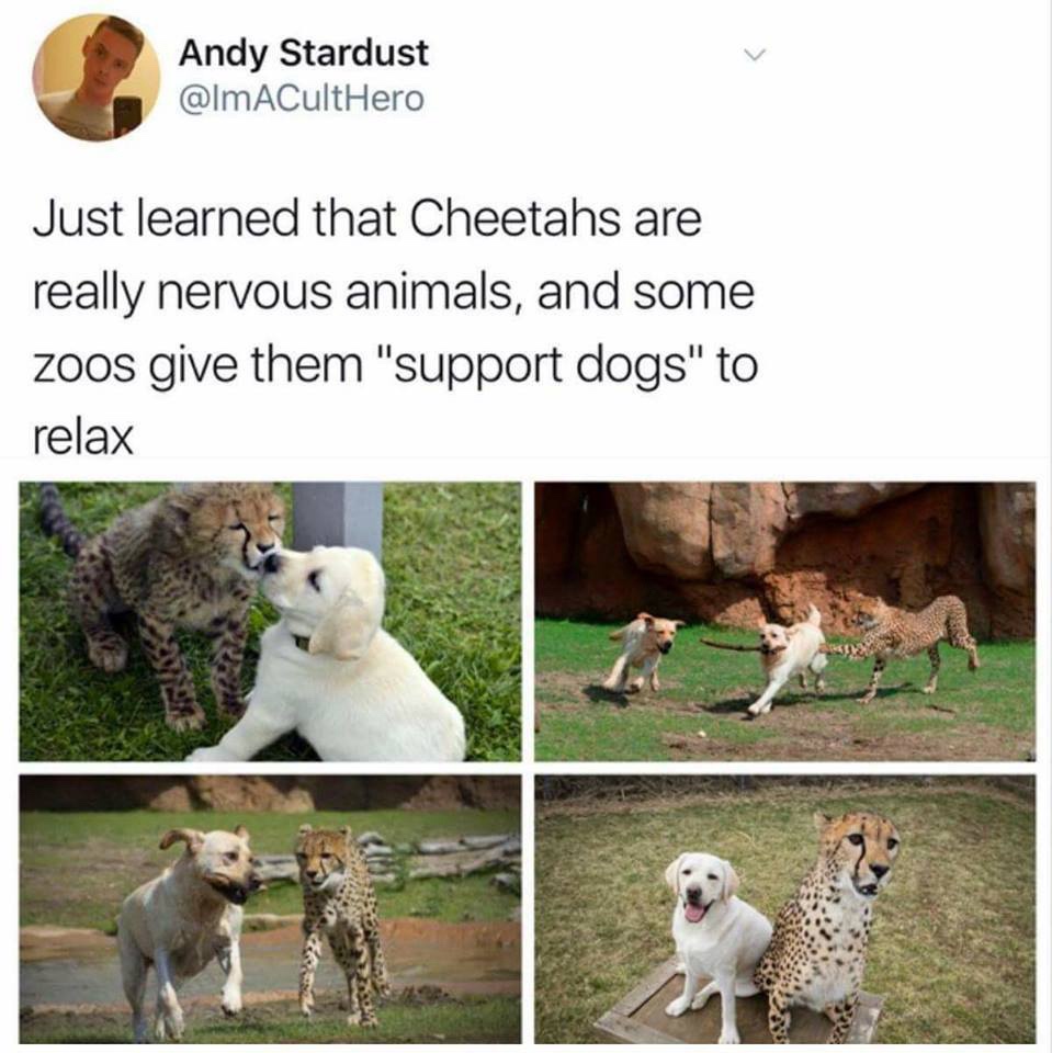 1766739336646.jpeg