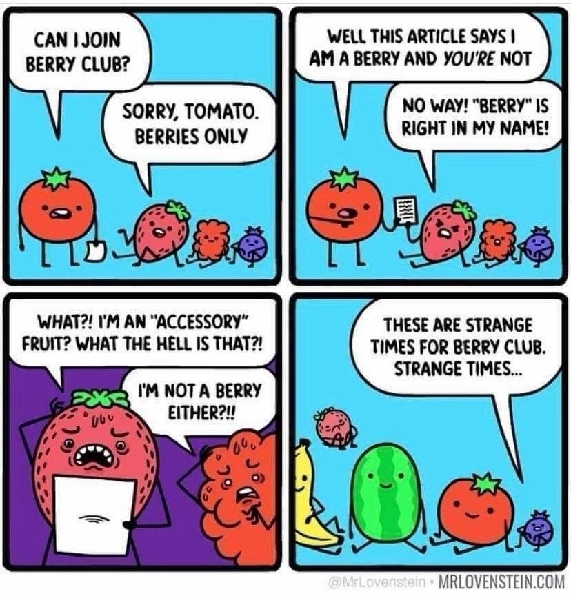 1766805147873.jpeg