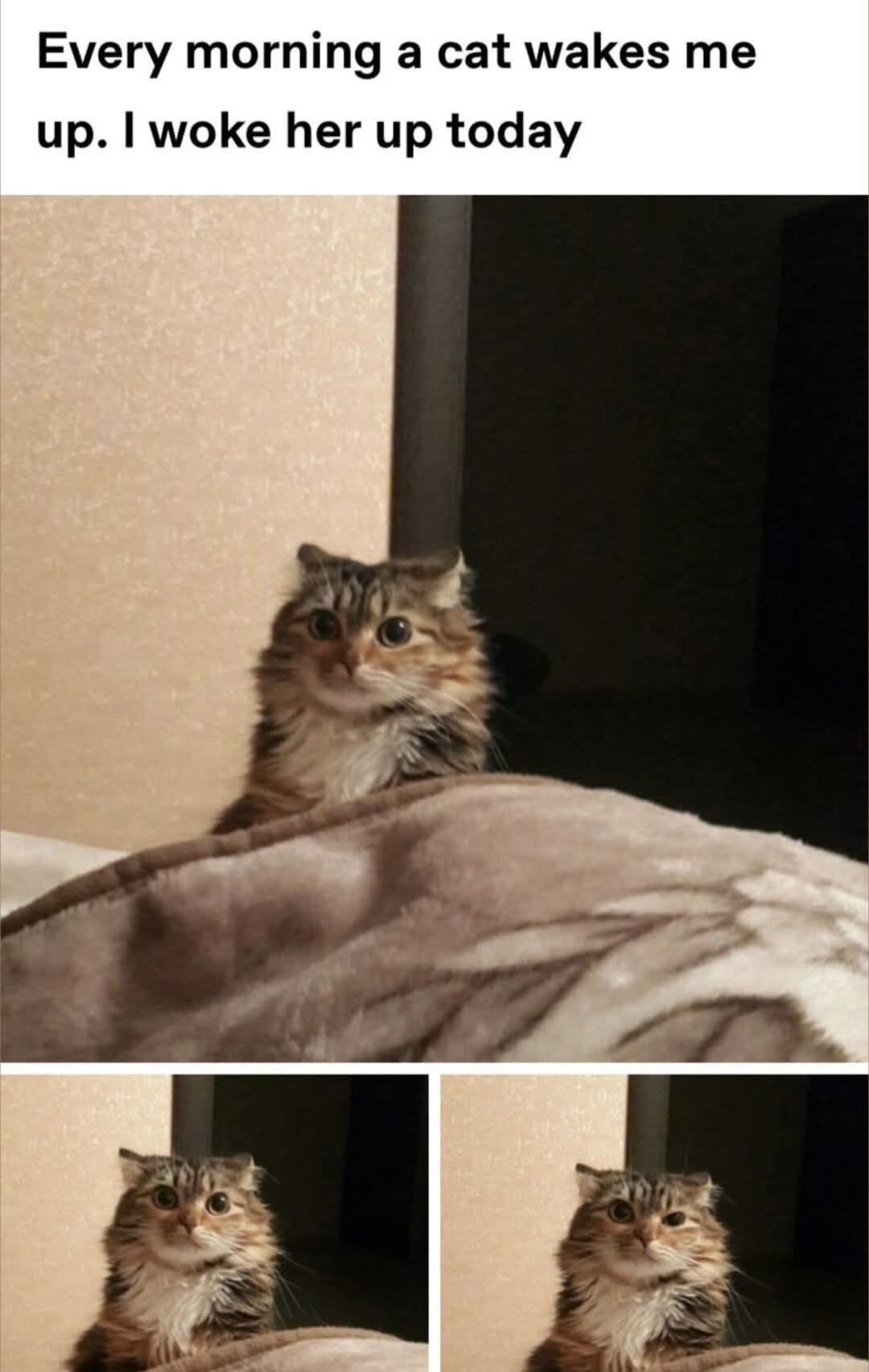 1766950306550.jpeg