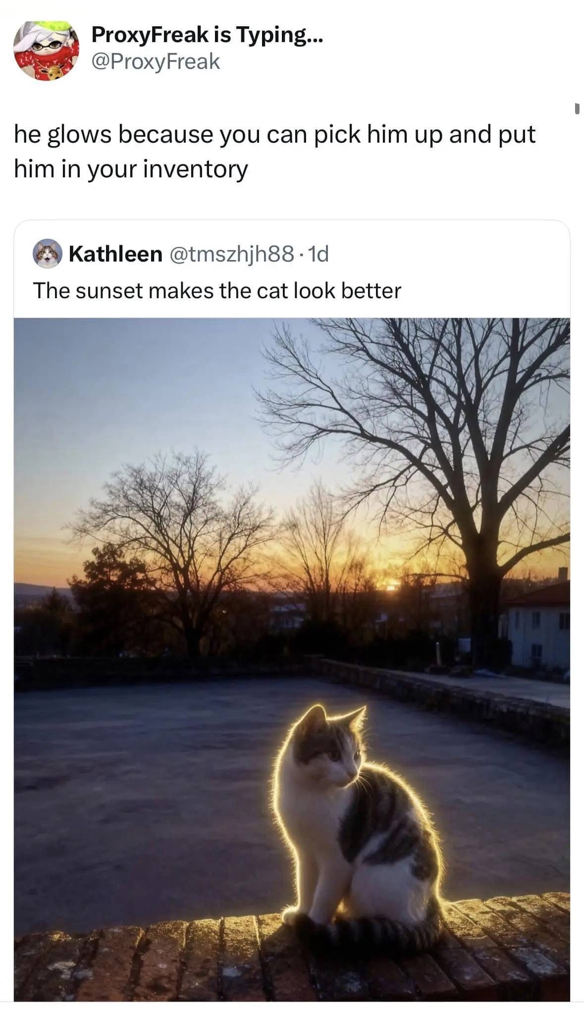 1767021251511.jpeg