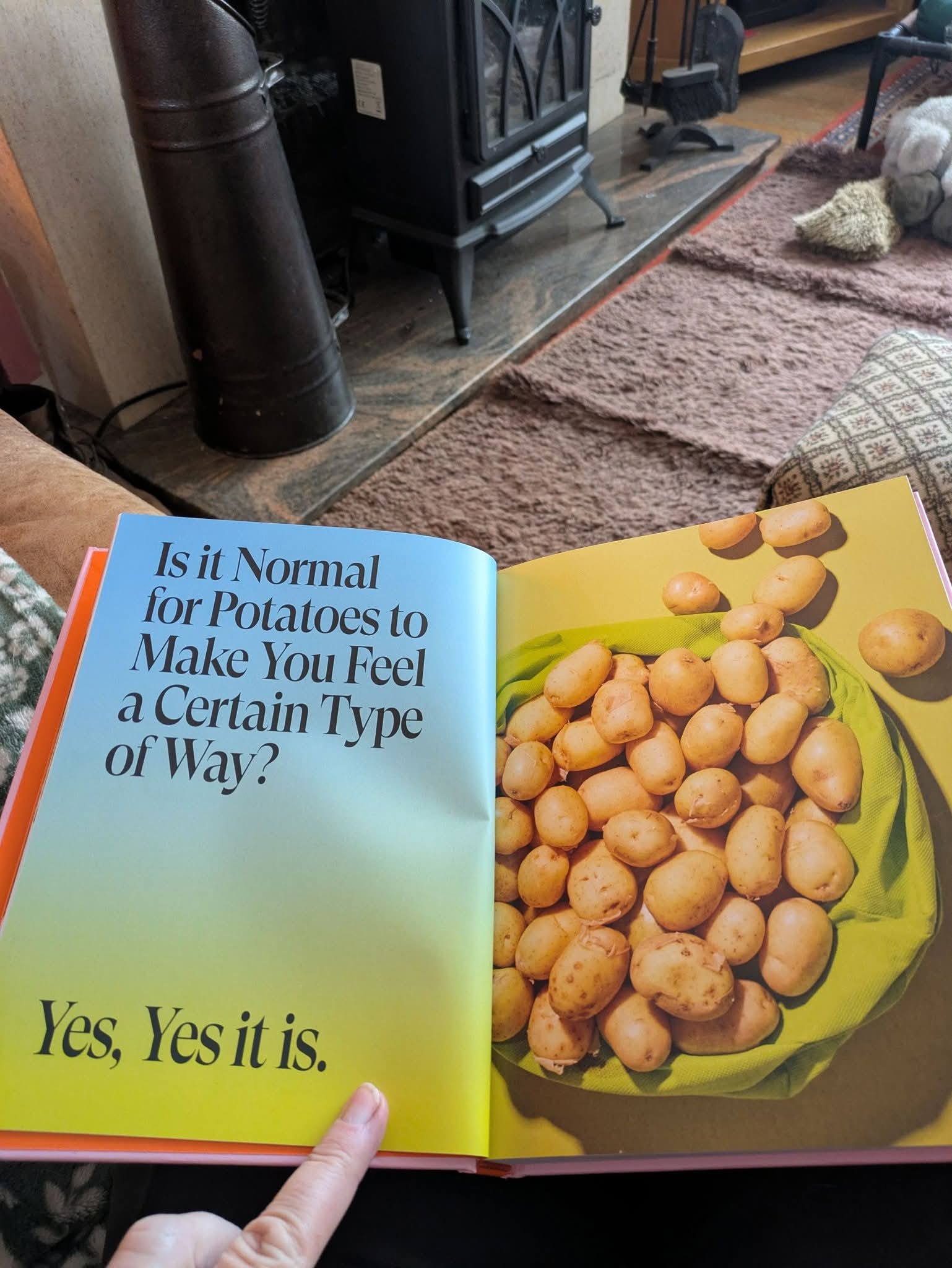 1767021904272.jpeg
