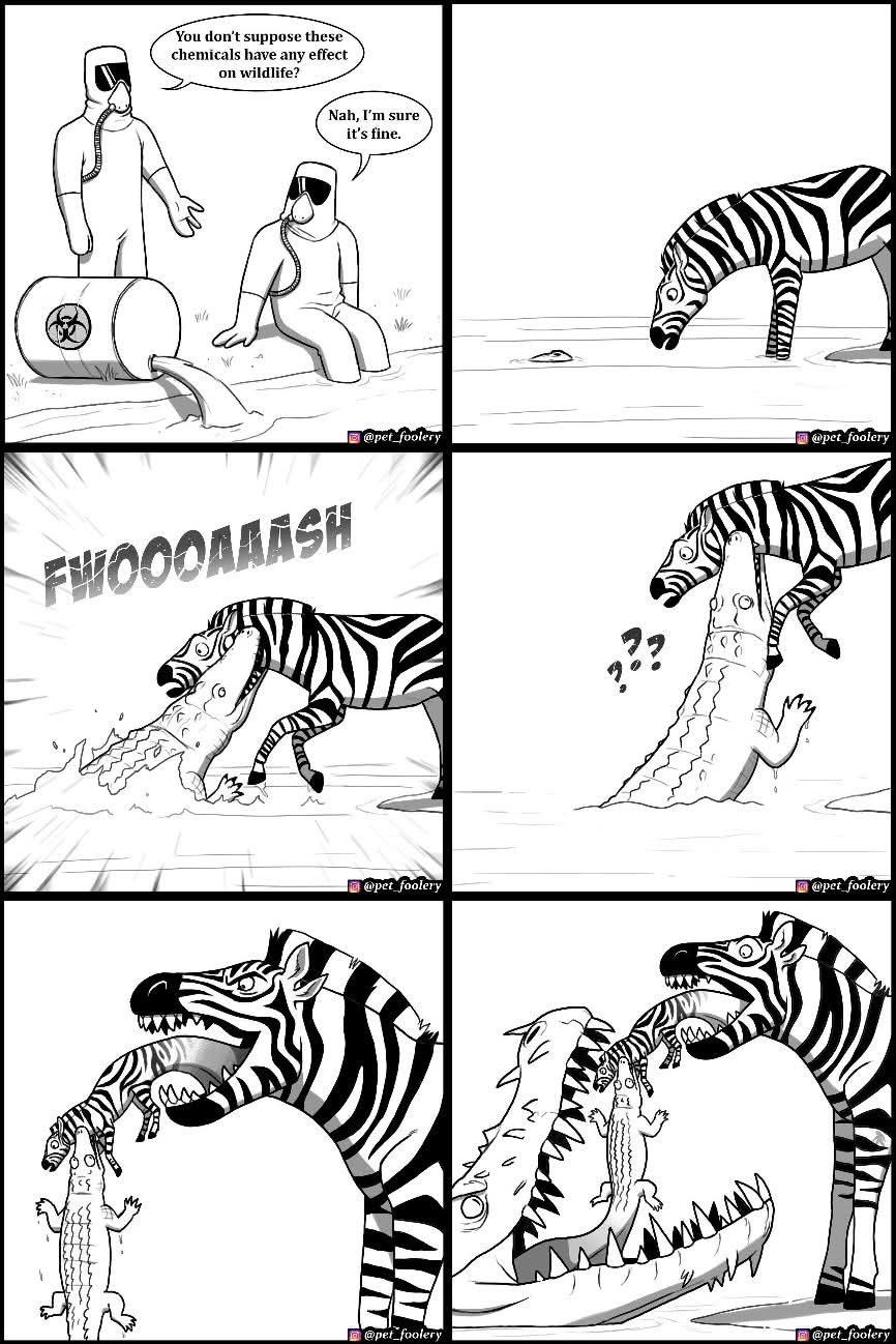 1767191695634.jpeg