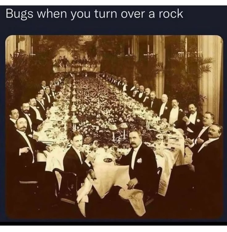 1767208134941.png