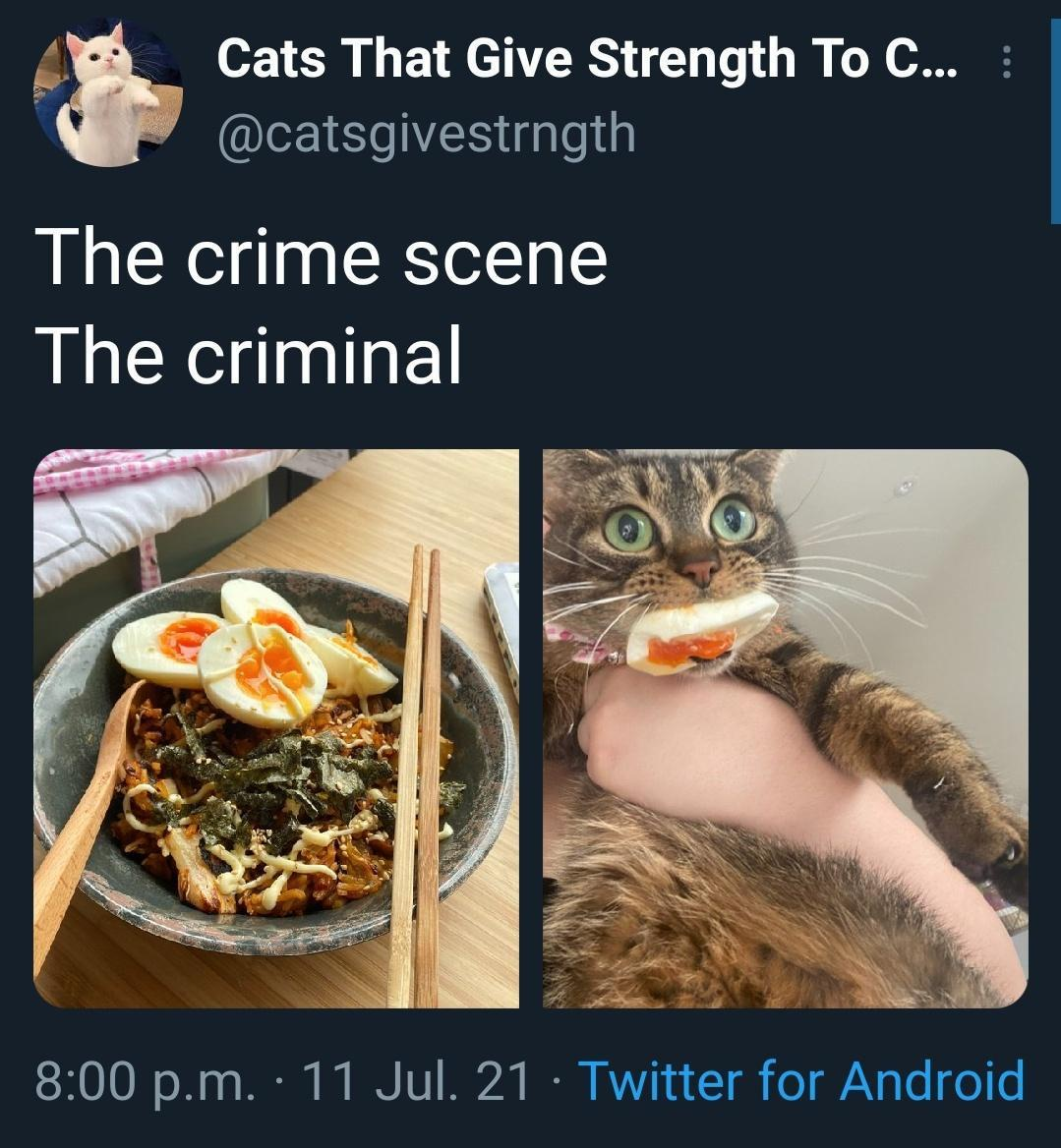 1767434568006.png