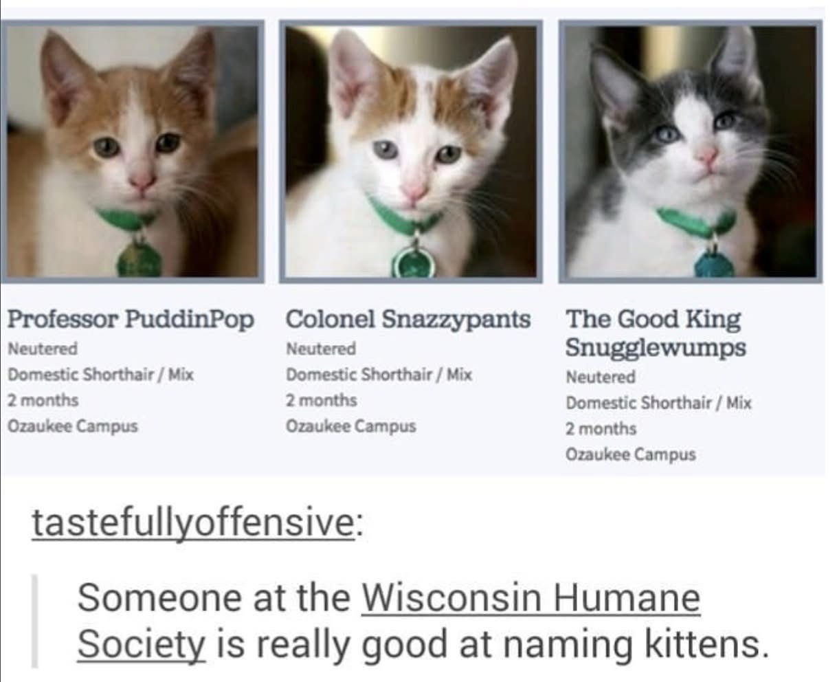 1767603672680.jpeg