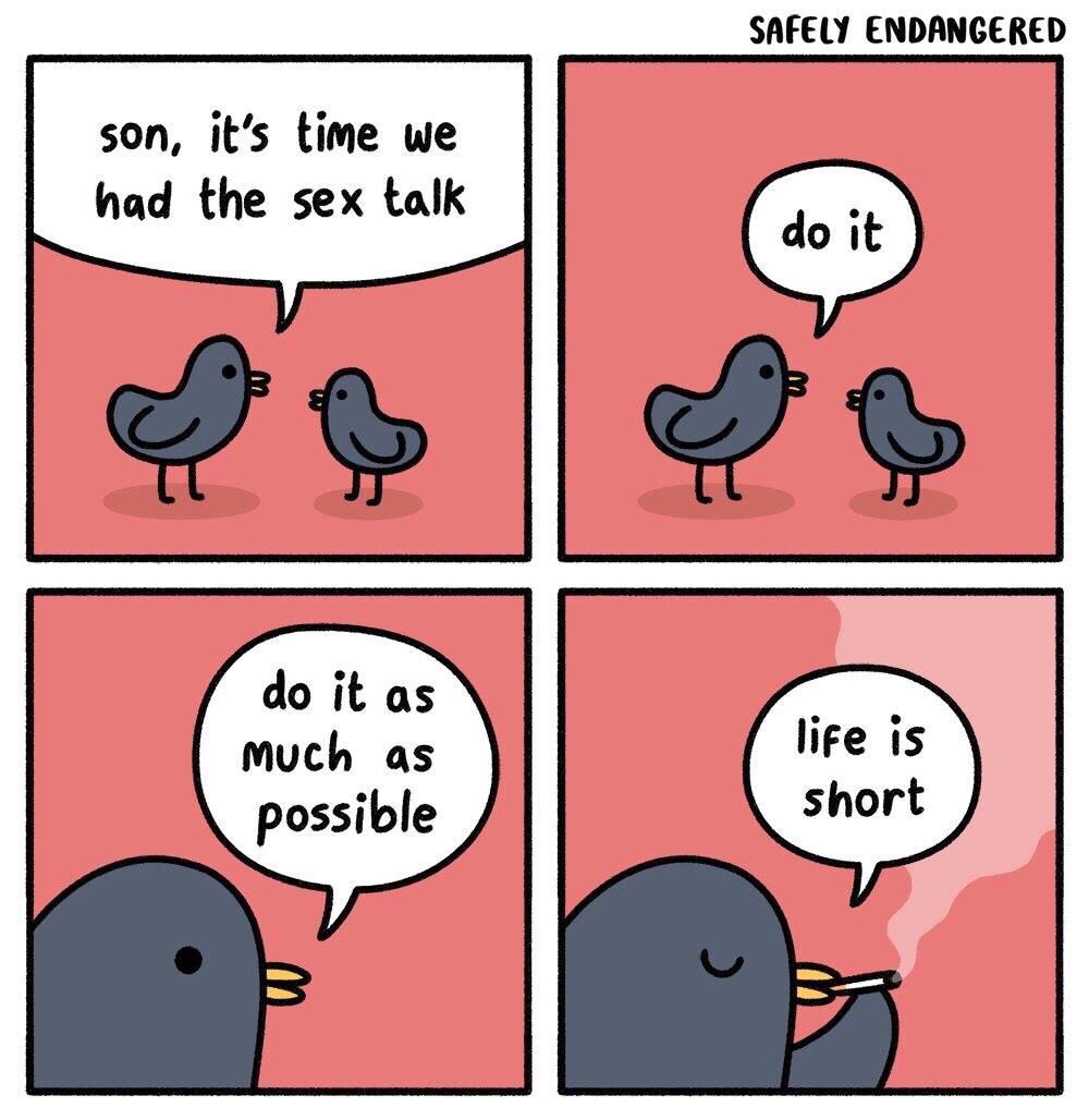 1767764133776.jpeg