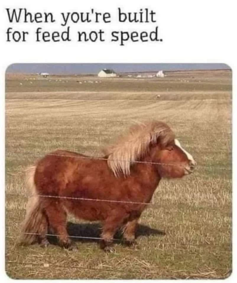 1767868036610.png