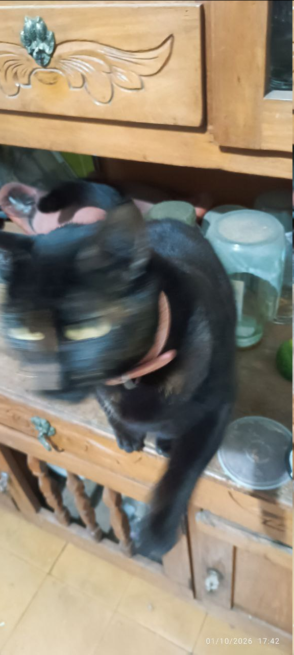 1768090832289.png