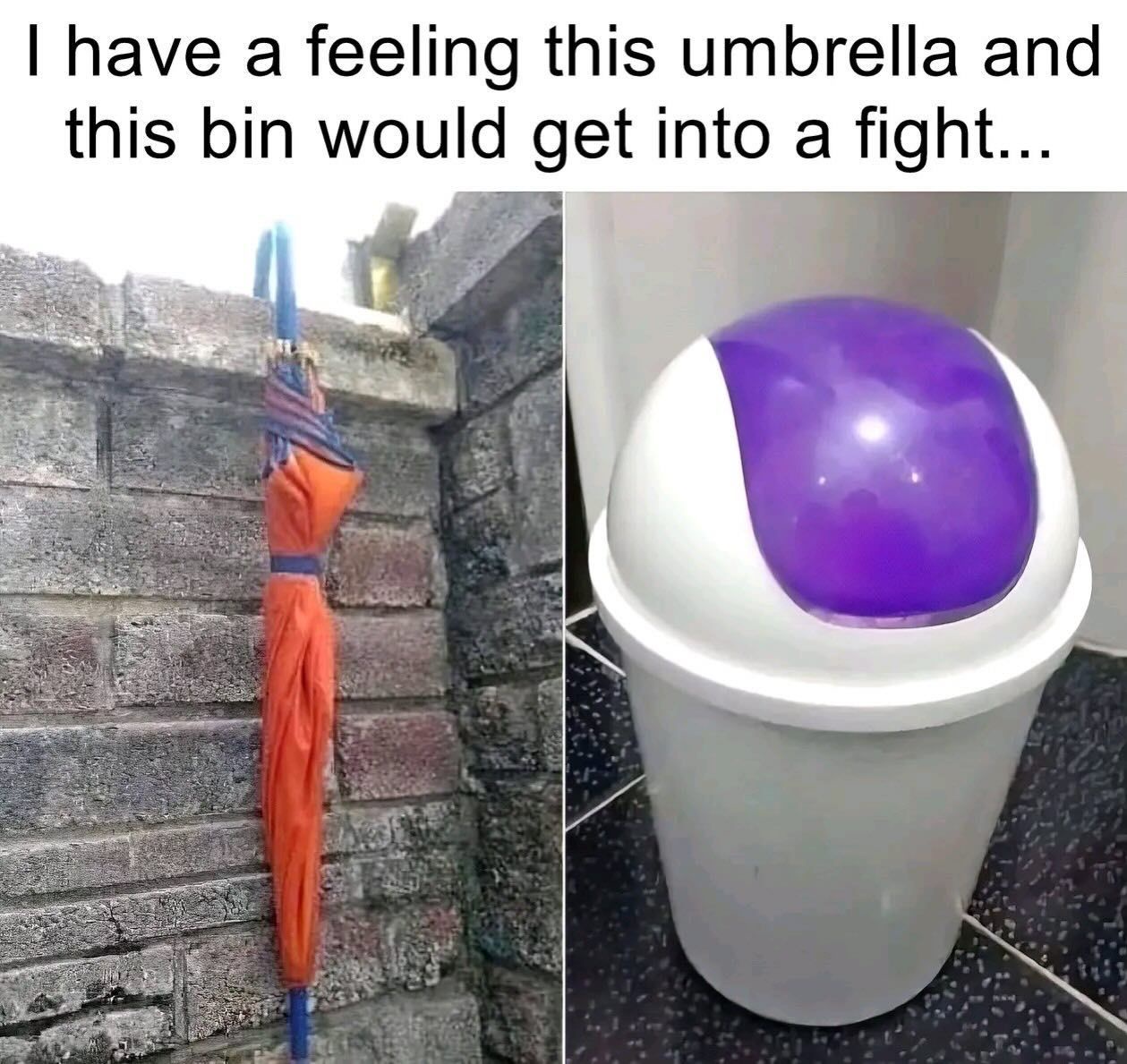 1768220805254.jpeg