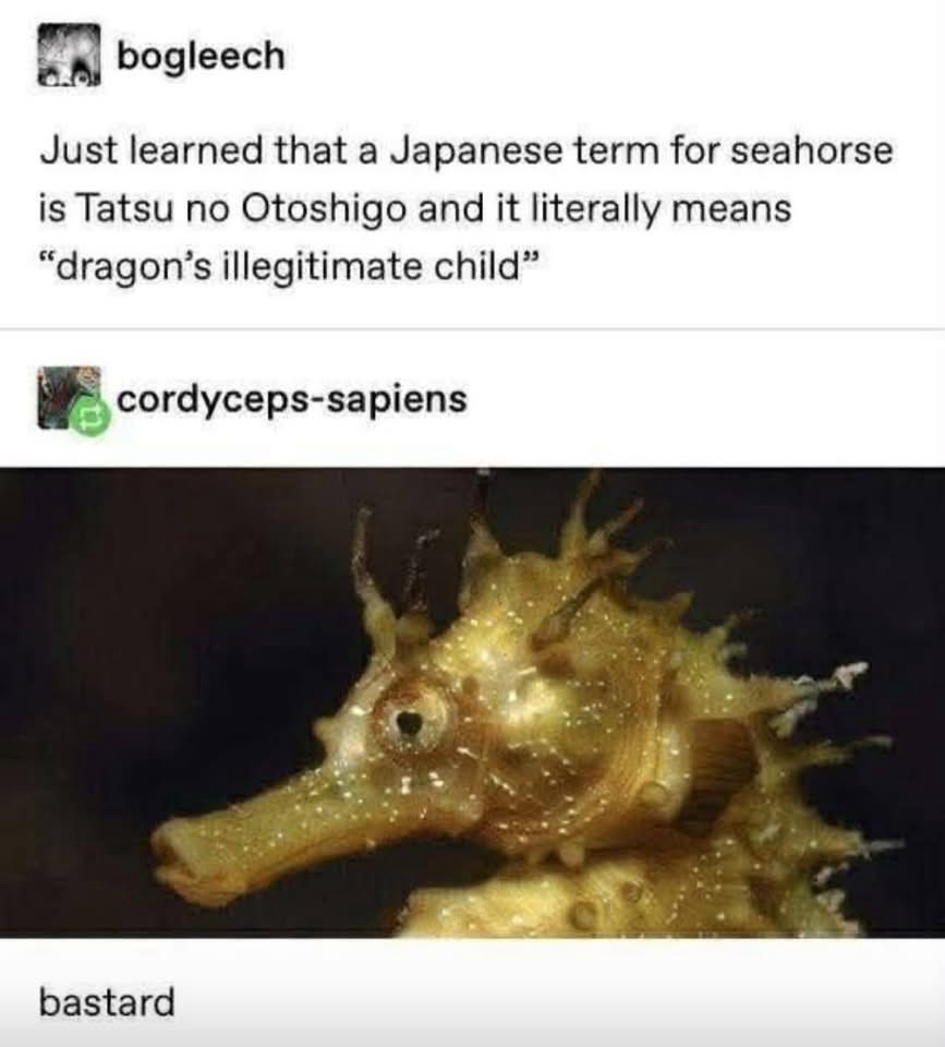 1768408919391.jpeg