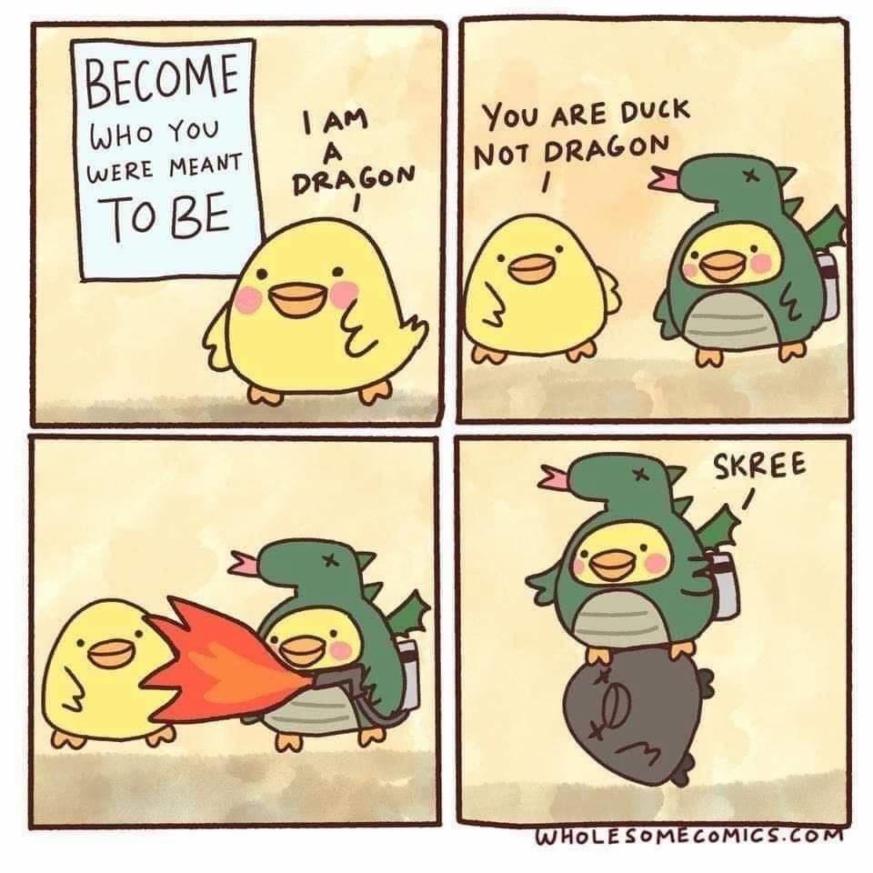 1768486463684.jpeg