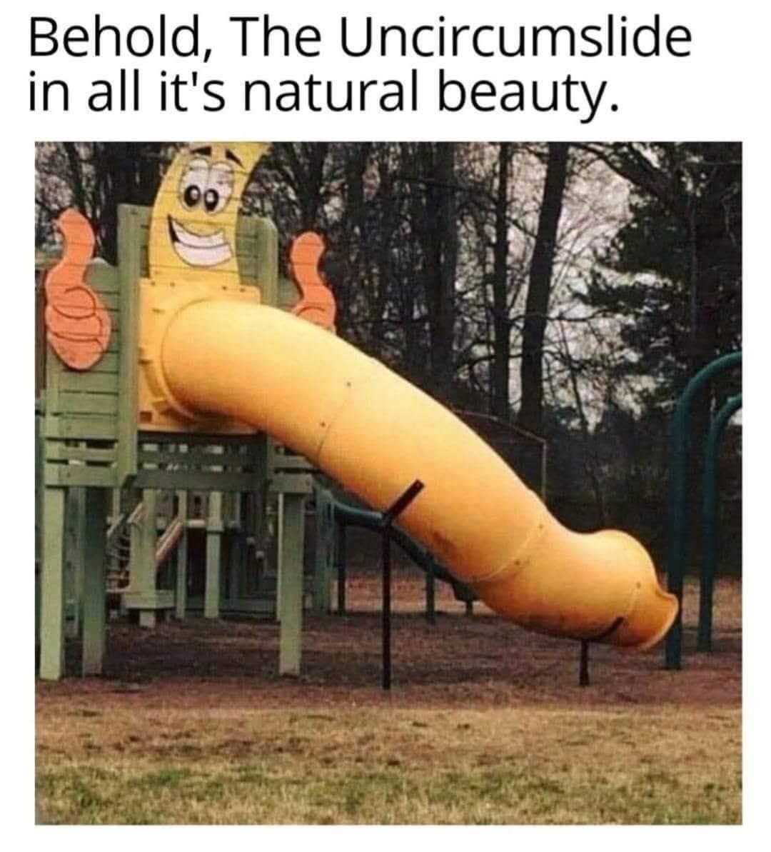 1768574525679.jpeg