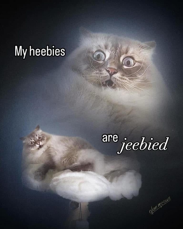 1768805644007.jpeg