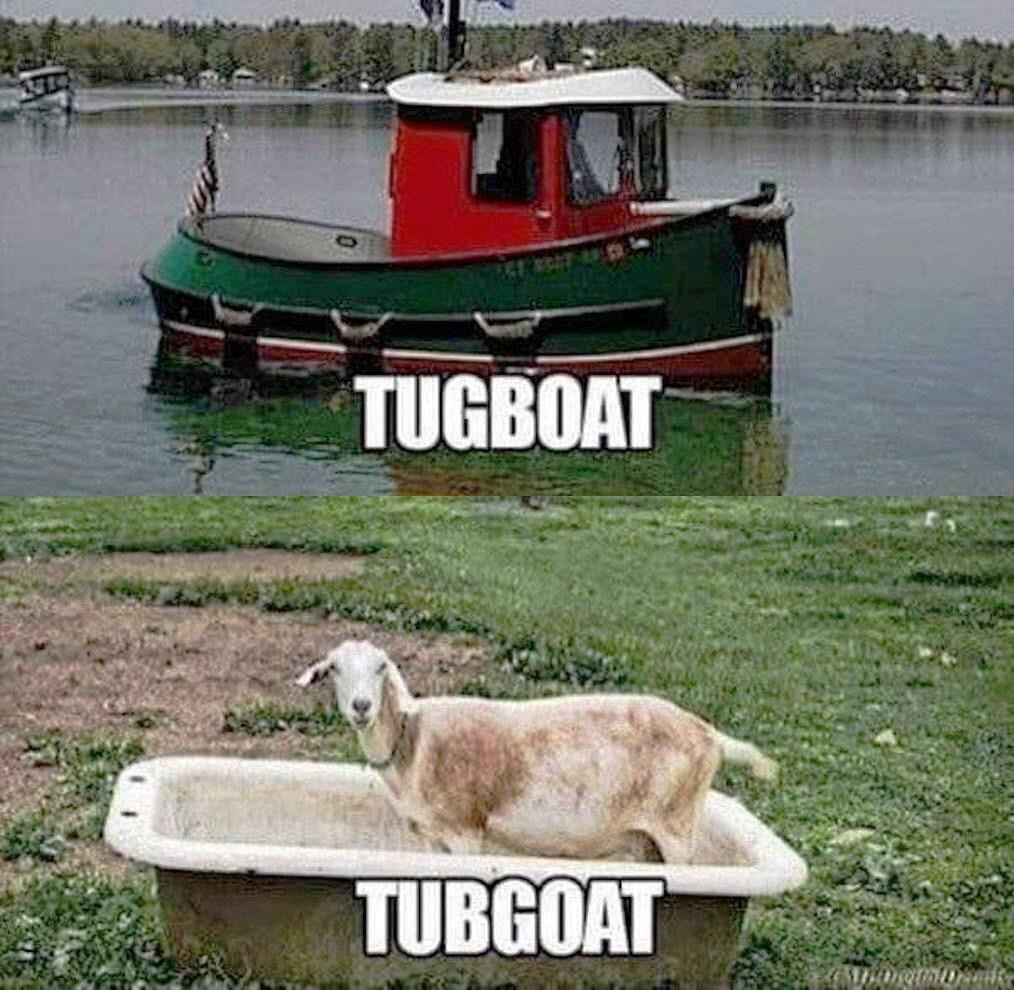 1769059651842.jpeg