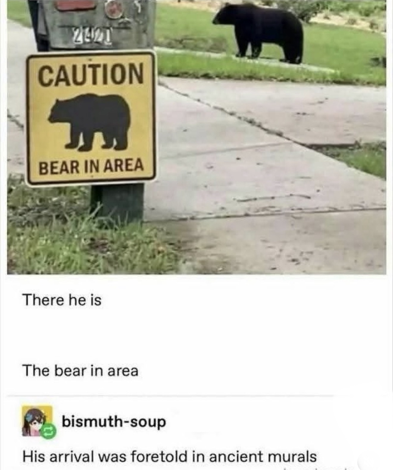 1769114842823.jpeg