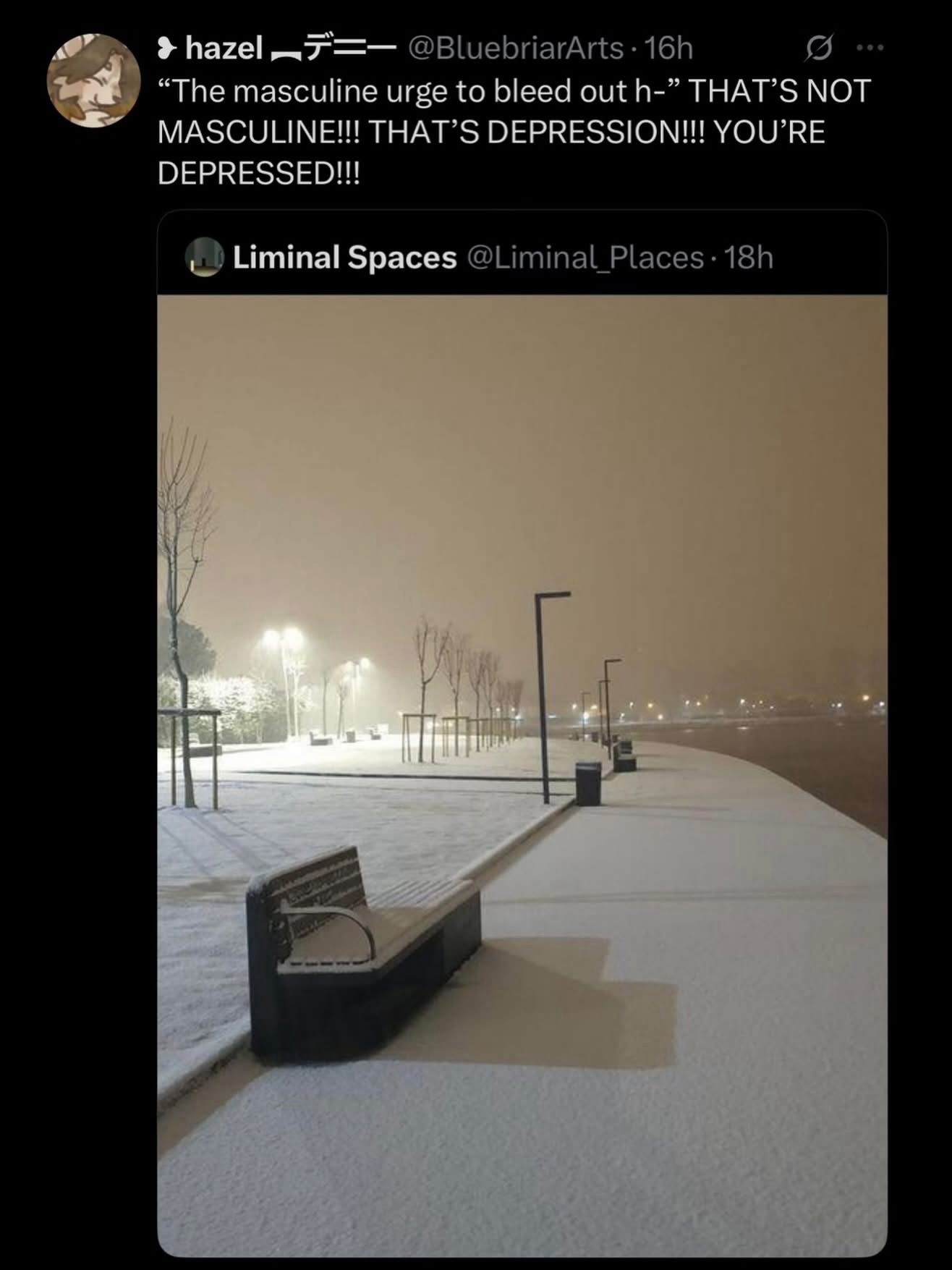 1769178643232.jpeg
