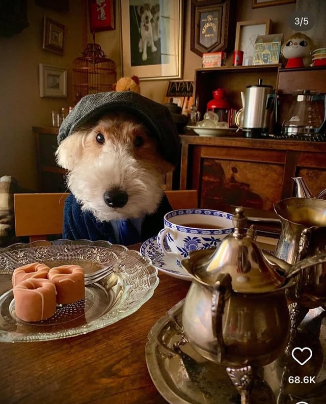 1769494030100.jpeg