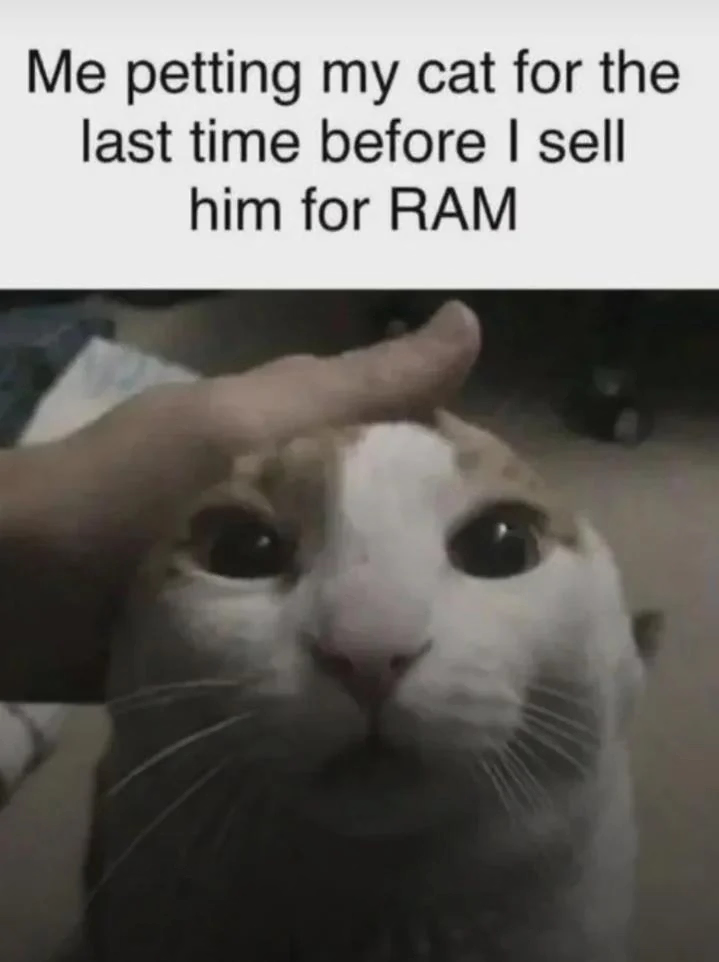 1769624190017.png