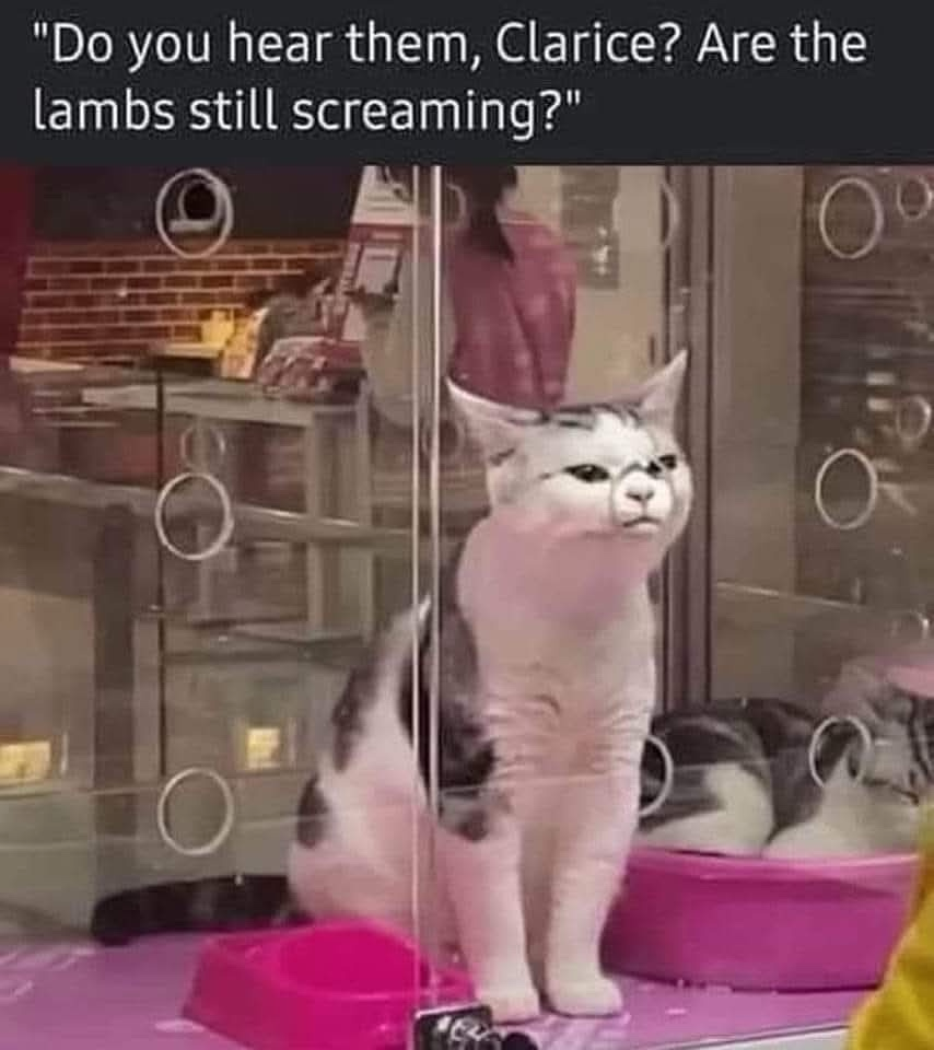 1769693603119.png