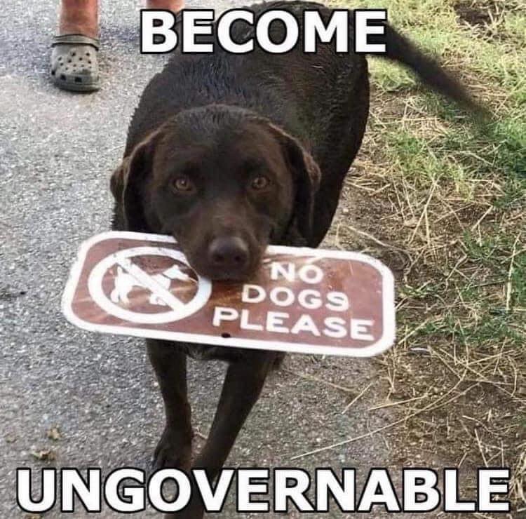 1769698402484.jpeg