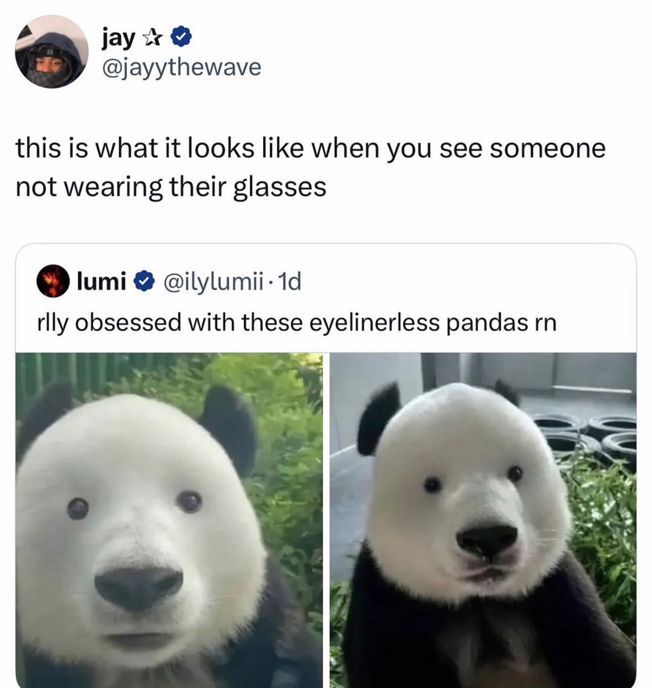 1769706502904.jpeg
