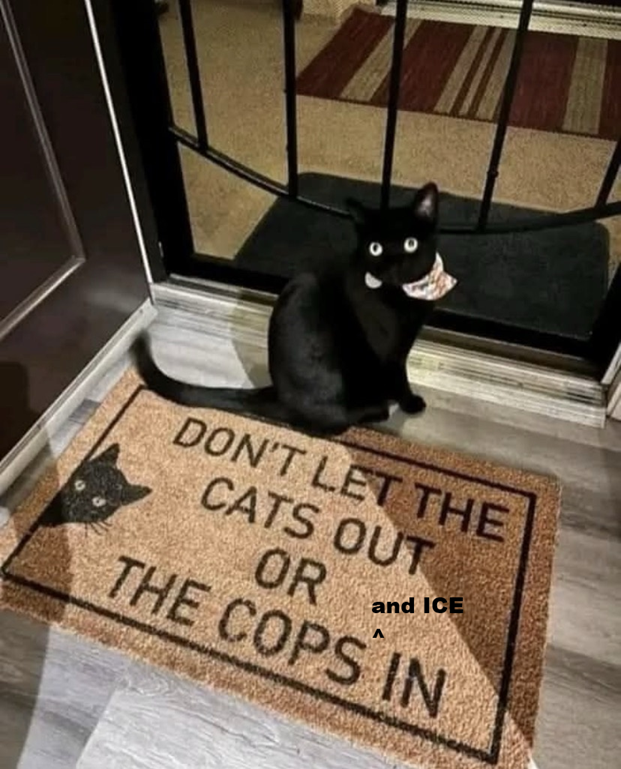 1769873997042.png