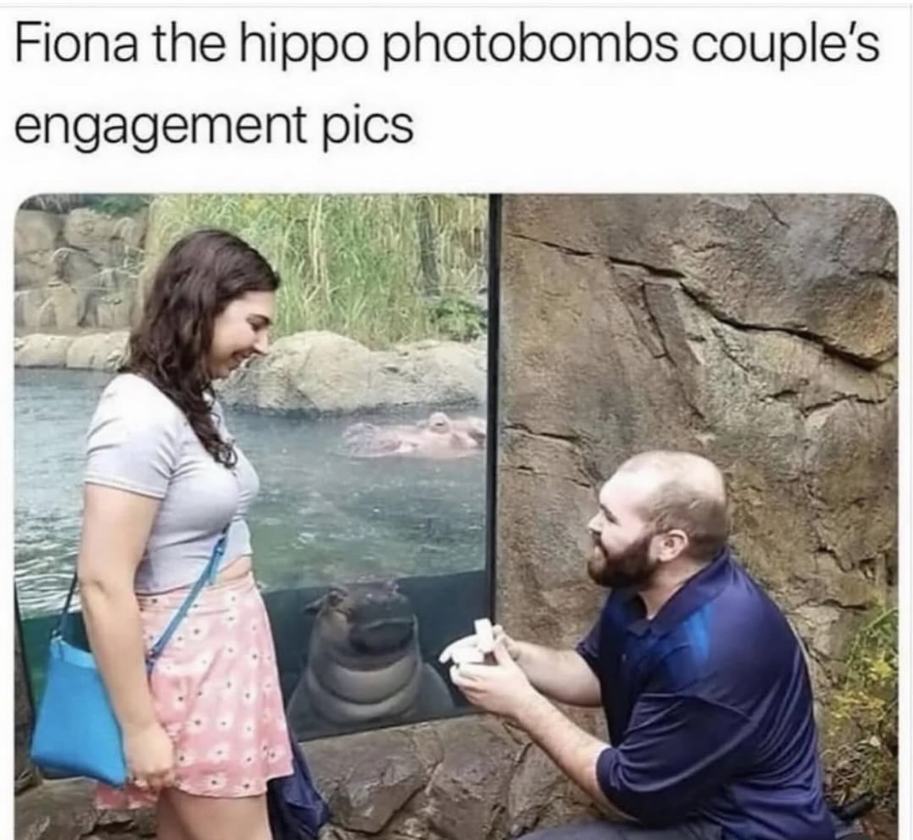 1769971170369.jpeg