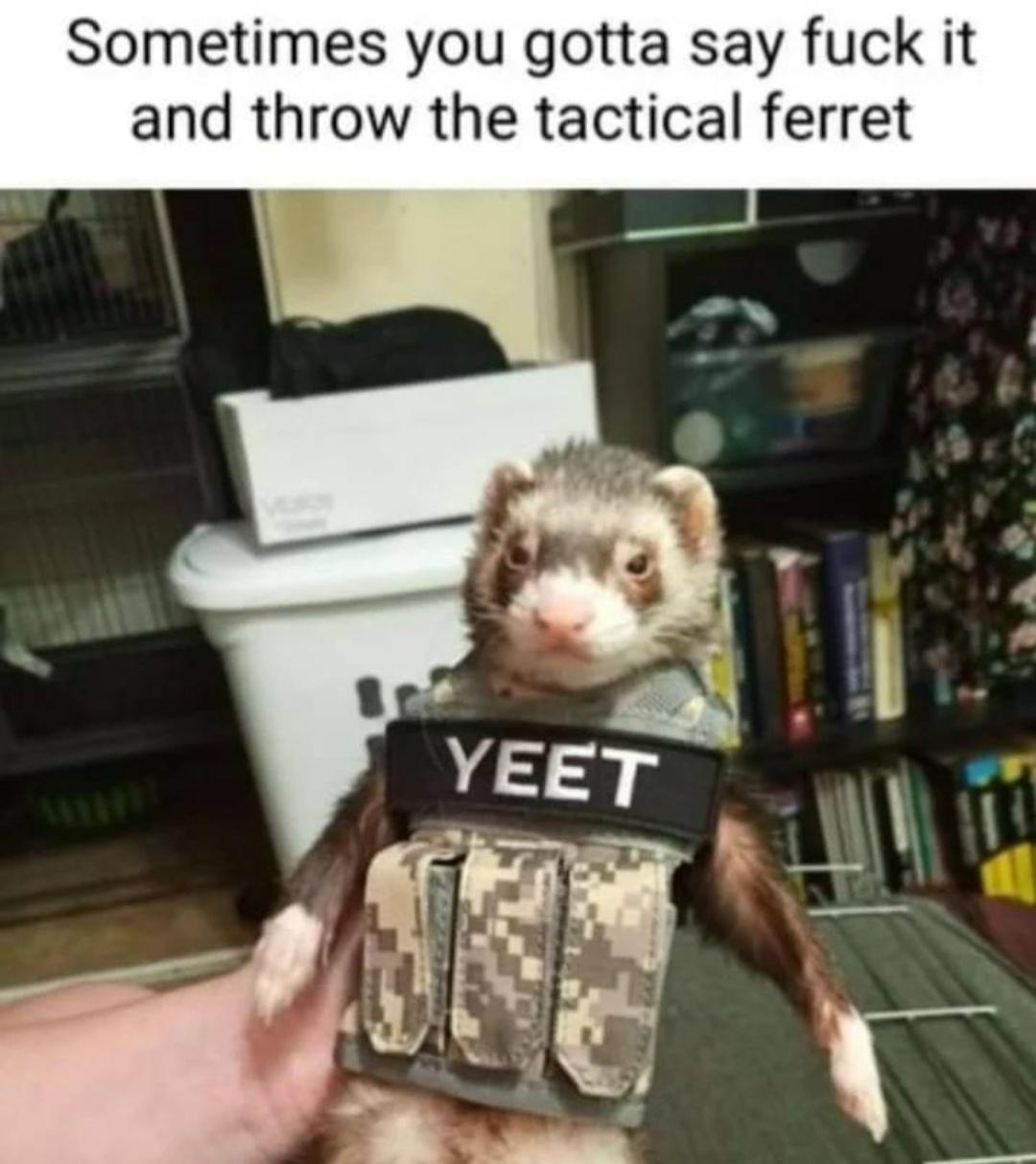 1770020503552.jpeg