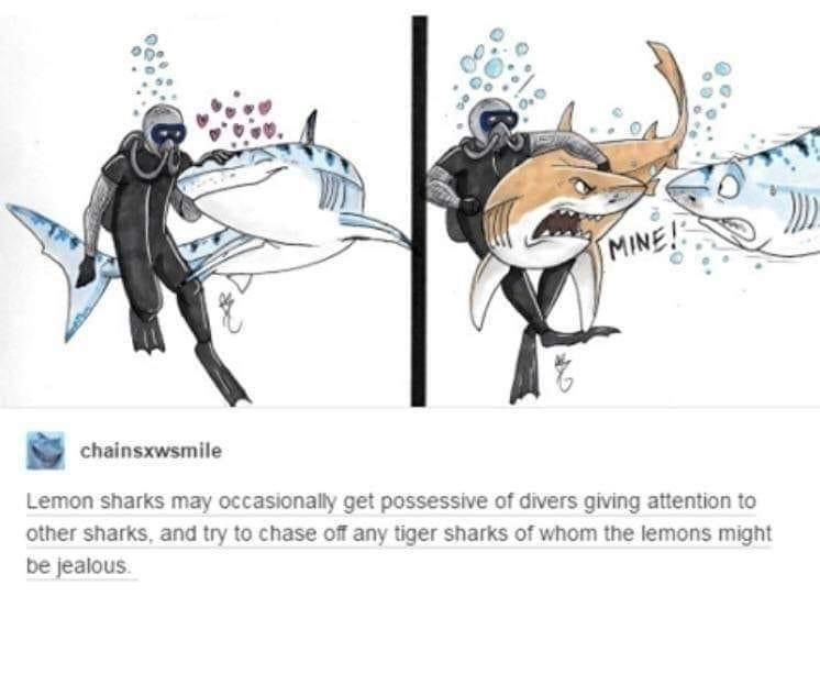 1770034060753.png