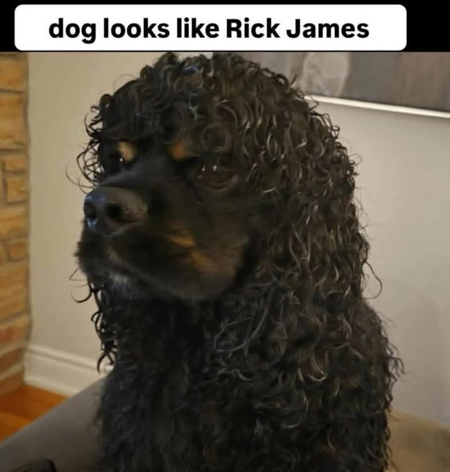 1770211565751.png